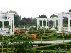 parcul rozelor