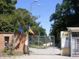 Intrare la Zoo 2