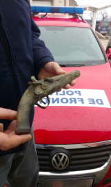 Pistol vechi (2) Foto Politia de Frontiera Timis