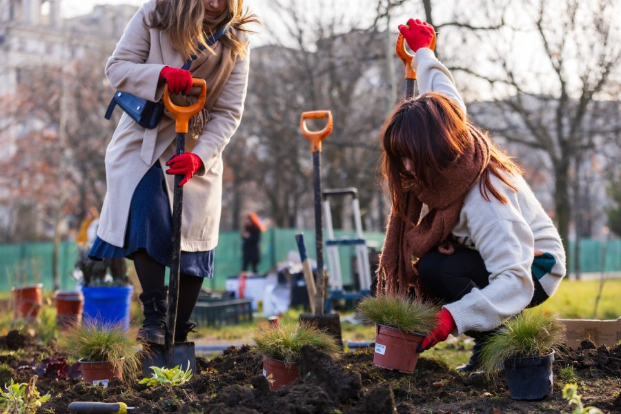 Inverzire spatii publice (2) Foto AfT