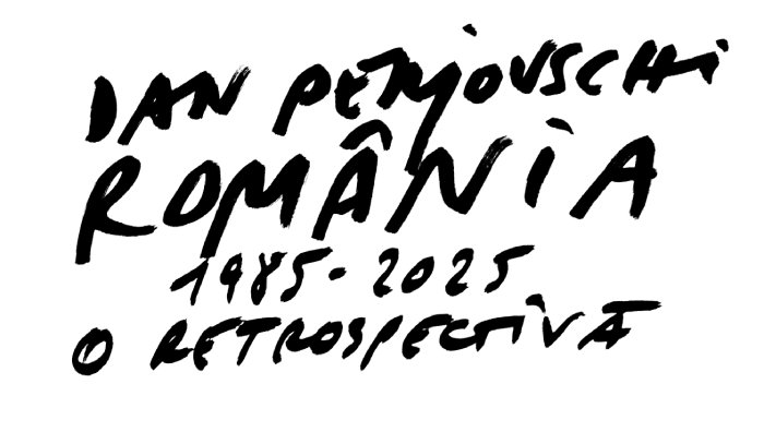 DAN PERJOVSCHI_ROMANIA