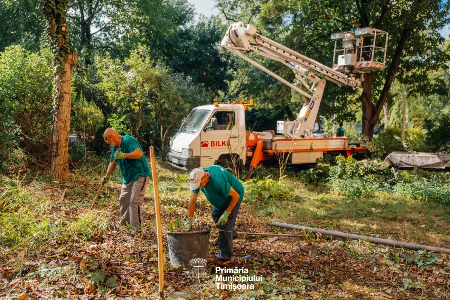 Curatenie-spatii-verzi Foto PMT