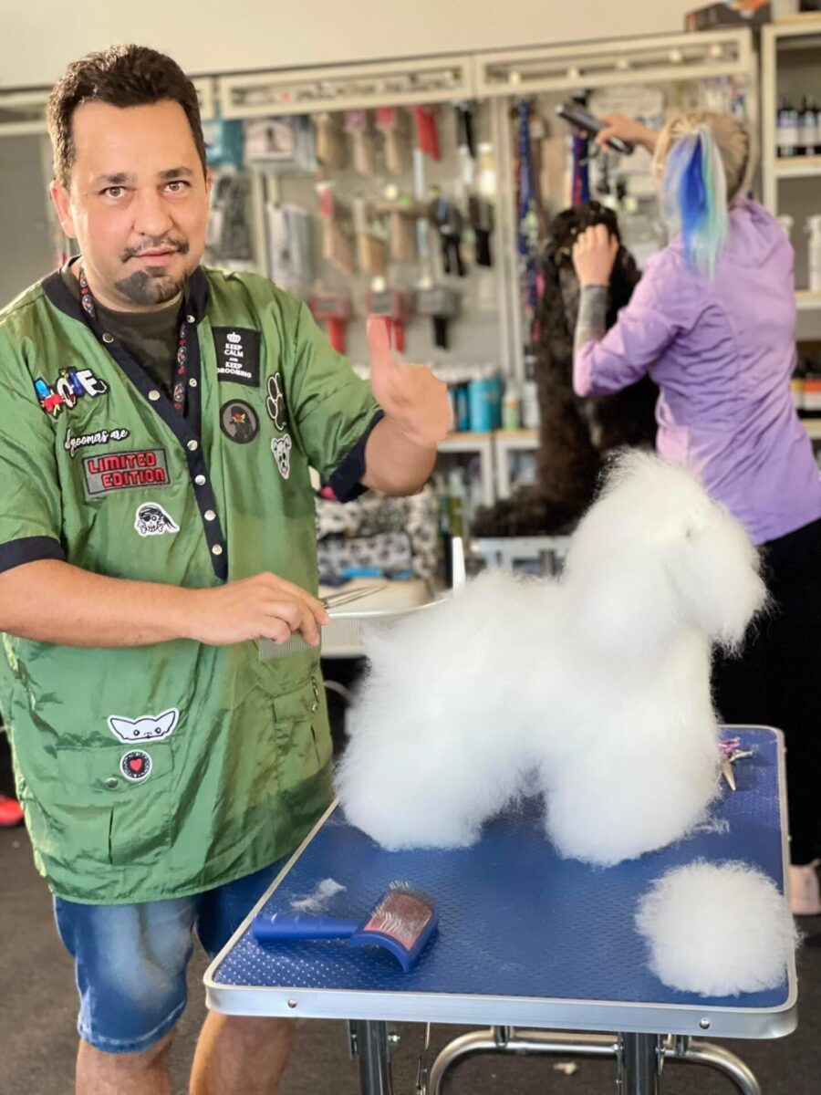 Deian Aranghelovici - grooming (4) Foto Arhiva personala