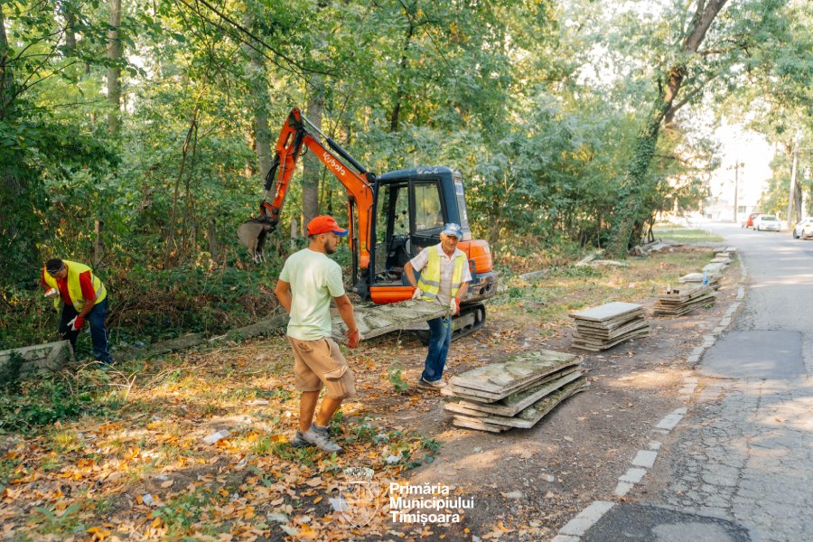 Spatii verzi neutilizate Foto PMT (2)â