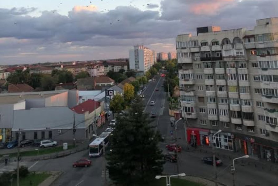 Zona Magistrala Verde Foto PMT