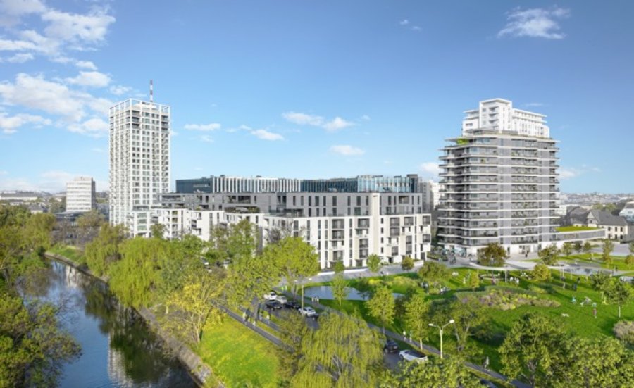 Aerial - Morning - FABZ Medium Foto ISHO